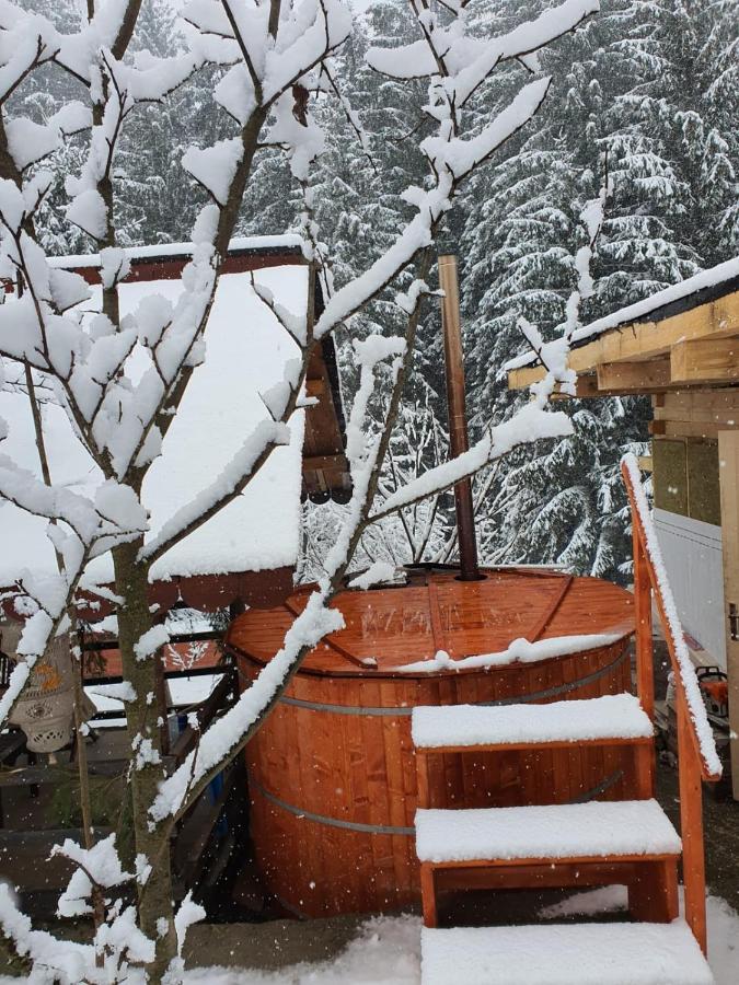 Forest Vibes Spa Cimpu lui Neag Экстерьер фото